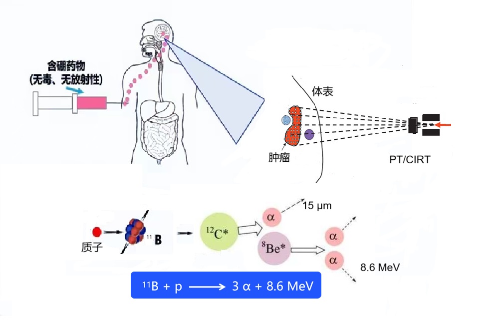 PBCT质子硼俘获治疗原理示意图 - 粒子增强硼药作用机制